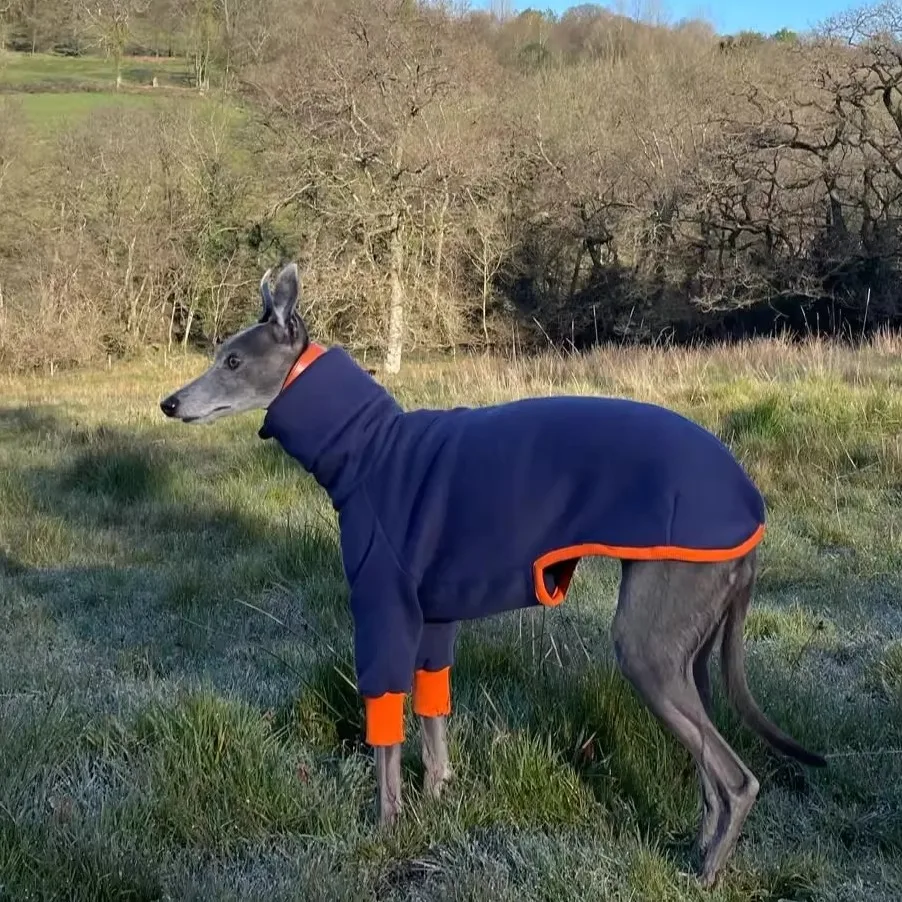 Mono de 2 patas de lana azul a la moda para galgo italiano, camiseta de manga larga con cuello alto para perros, pijamas de invierno para Whippet