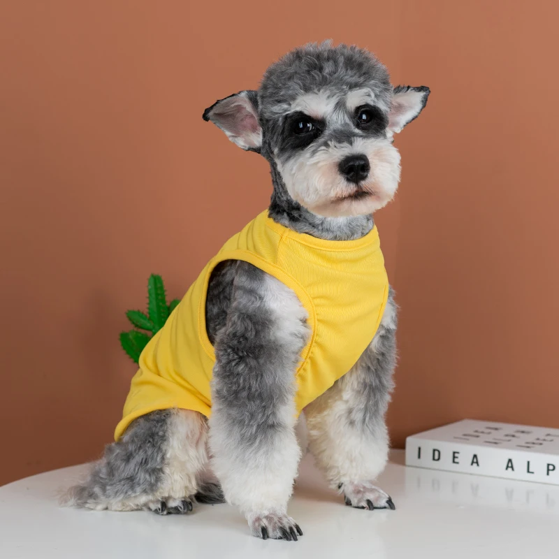 Camiseta transpirable para perros Primavera Verano Schnauzer Teddy Dog Colling chaleco cachorro protector solar camisetas verano pequeños medios ropa para perros - imagen 2