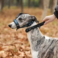 Collar de cabeza suave Leader No-Pull para perros, conjunto de Collar de correa para mascotas, Collar ligero para mascotas con bozal, bozal para perro con correa de cuello