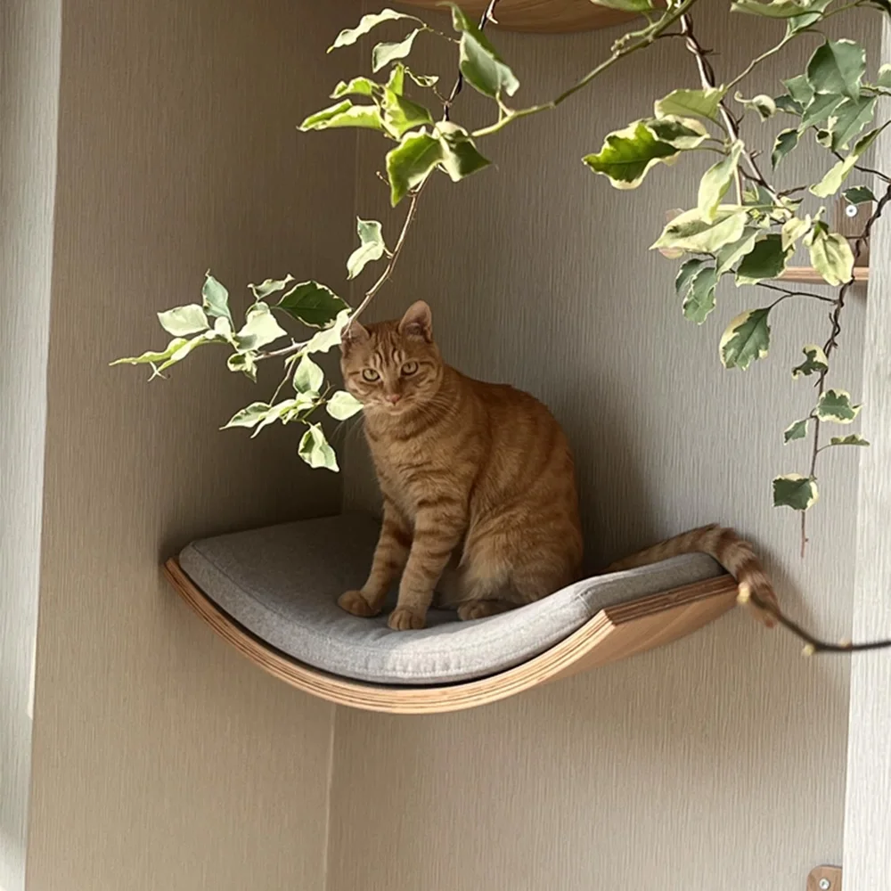 Percha pared gatos suave – hamaca colgante y estantes madera escalada