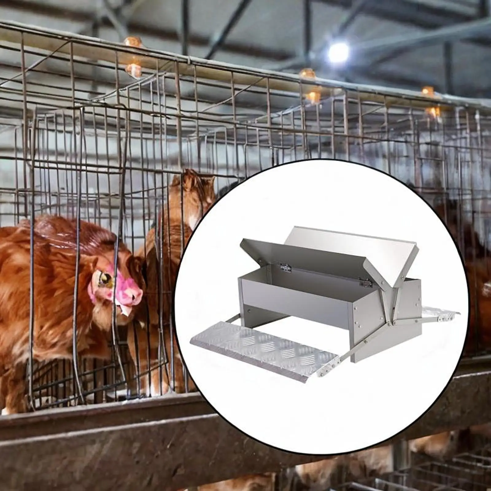 Automatic Treadle Chicken Feeder with Weatherproof Lid Anti Slip Stainless Steel Poultry Feeder for Pheasants Outdoor Outside