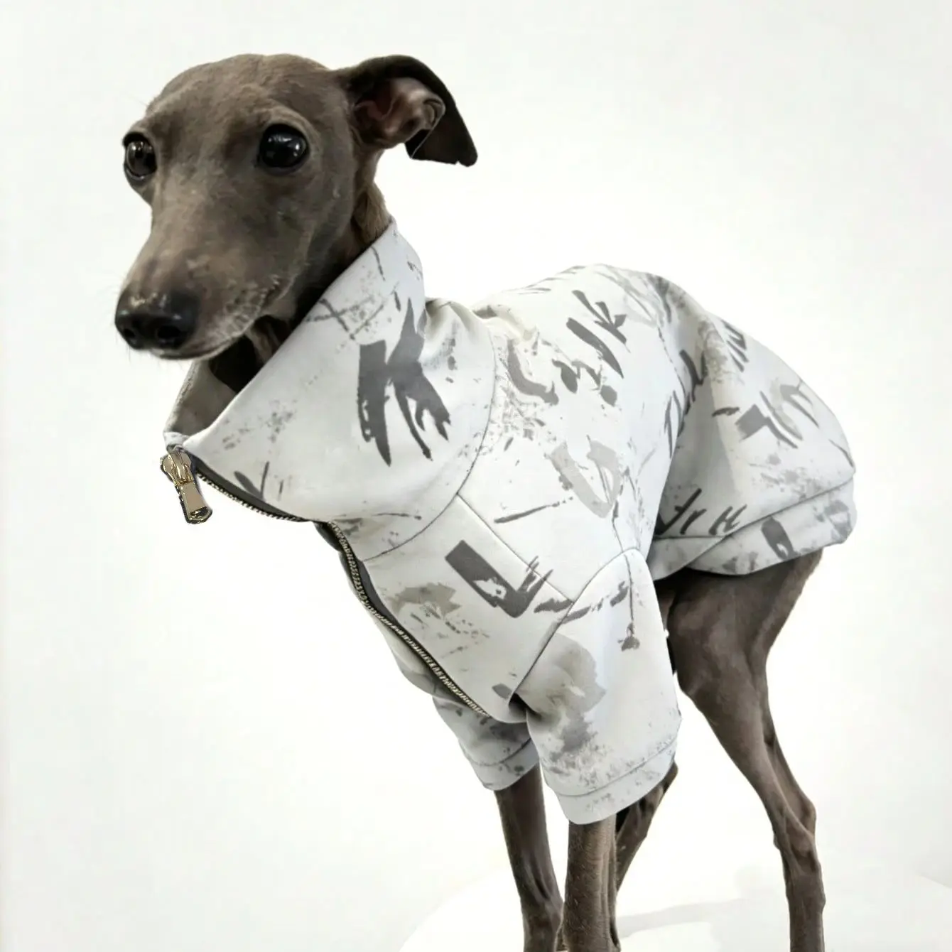 Ropa para perros galgo y whippet - abrigo calido y a prueba de viento - imagen 5