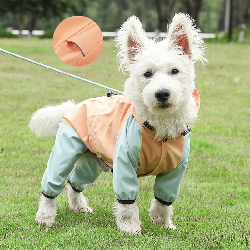 Mono impermeable para mascotas, chubasquero para perros pequeños, Schnauzer, Yorkshire, cachorro, moda - imagen 4