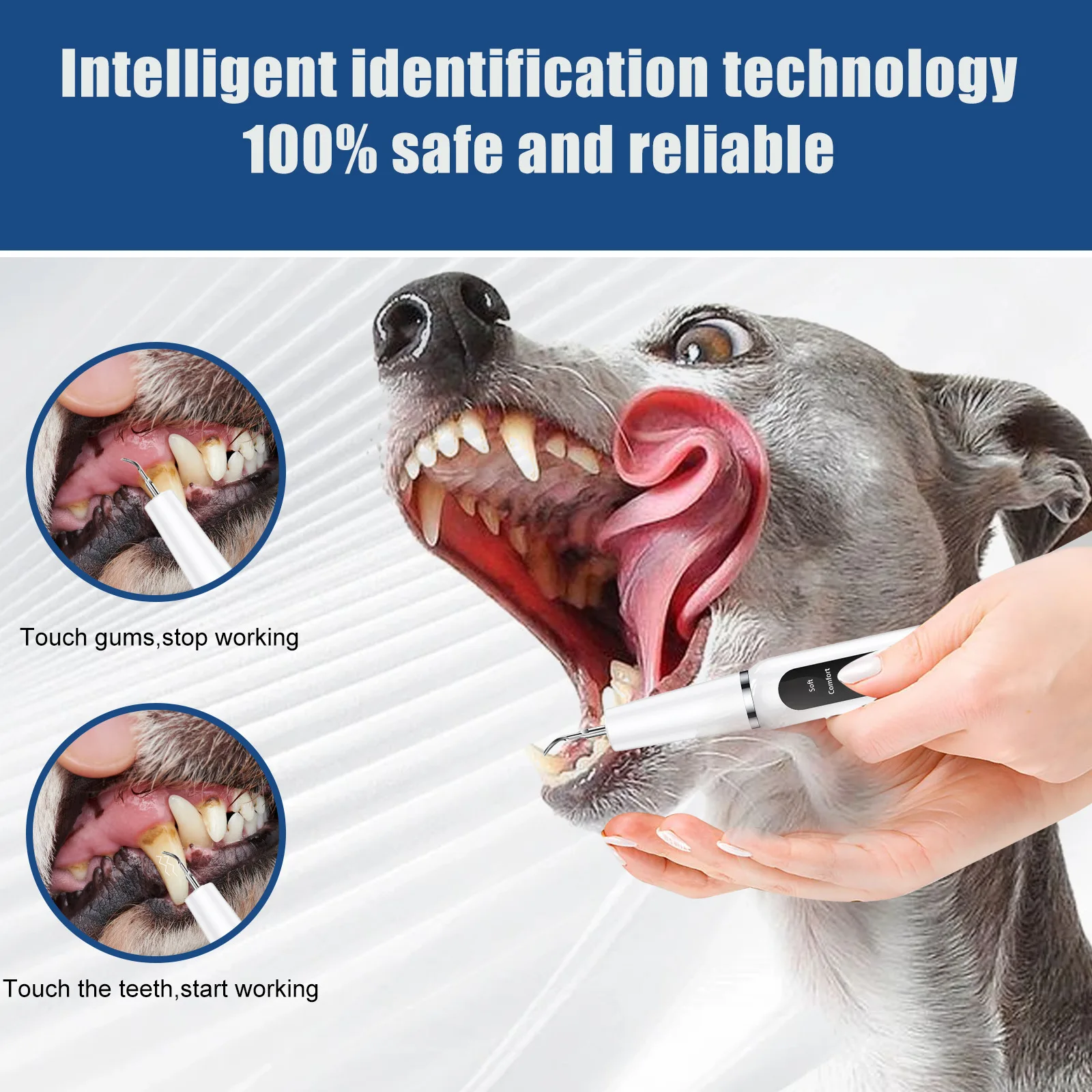Eliminador de cálculo para perros, depurador ultrasónico para mascotas, herramienta de limpieza de dientes de gato, artefacto, máquina de fregado Dental, productos para mascotas - imagen 4