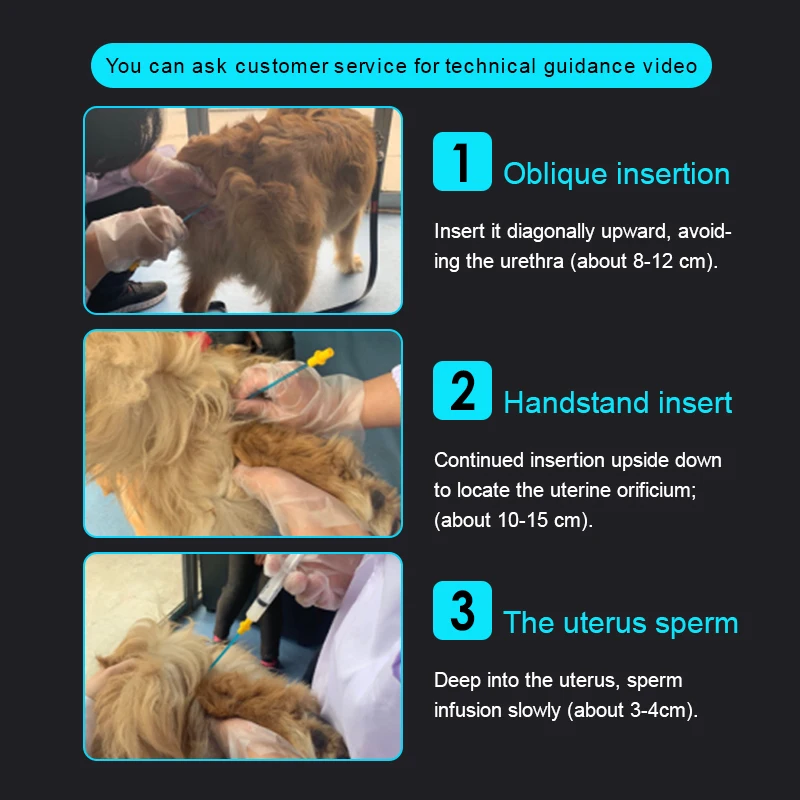 Deposición de Semen por inyección canina, inseminación Artificial, perro mascota, catéter de tubo de Vas Deferens desechable, 50 piezas, venta al por mayor - imagen 4