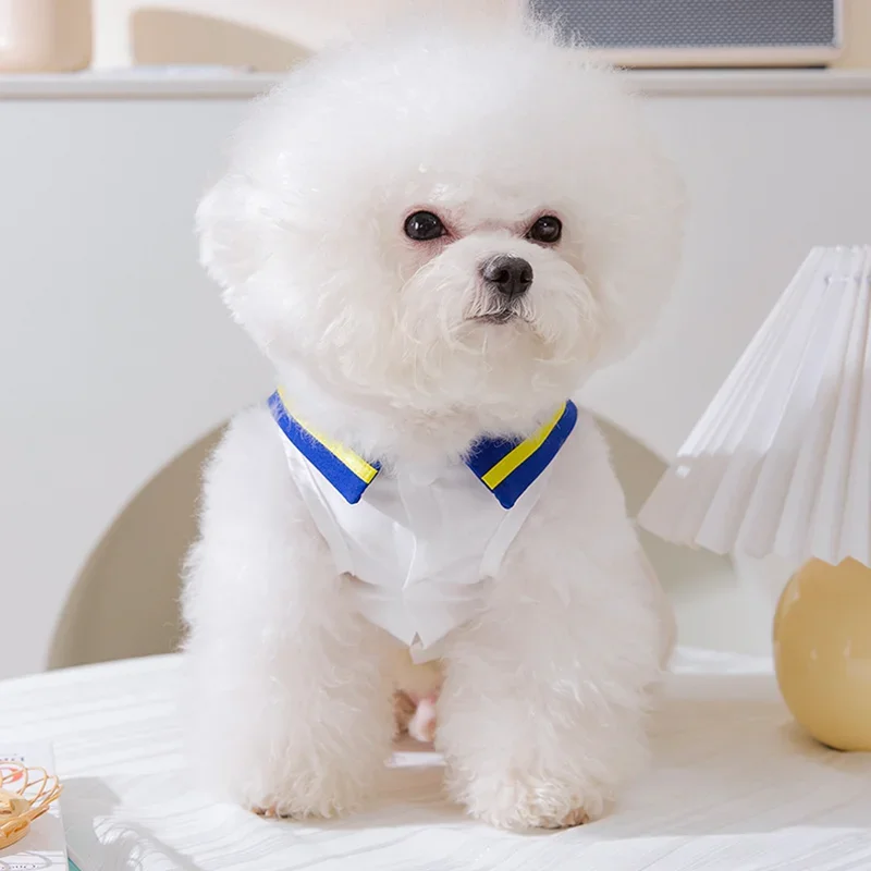 Bonita falda de princesa de verano, ropa para perros, vestido dulce para perros, ropa para gatos, estampado pequeño, bonito y fino, para primavera y verano, Chihuahua - imagen 3