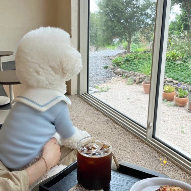 Ropa interior con capucha para otoño/invierno para mascotas, Teddy Yorkshire, ropa para perros pequeños, gatos y perros pequeños, ropa para cachorros