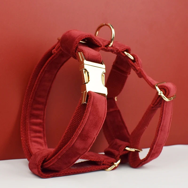 Collar y correa de terciopelo rojo cereza para perros, placa de identificación grabada personalizada, suministros para mascotas, correa para perros, 42 - imagen 2