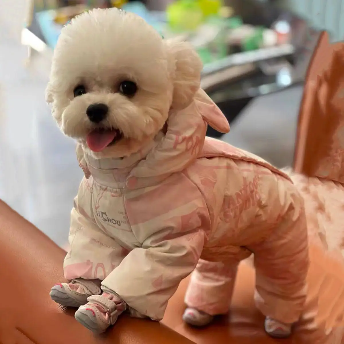 Abrigo de invierno lana rosa princesa para perro pequeño Teddy Bichon - imagen 2
