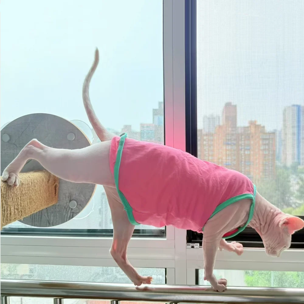 Camiseta camisola de algodón rosa para gato sin pelo en verano, chaleco verde suave y bonito para Devon Rex, abrigo fino sin mangas para gato Sphynx - imagen 4