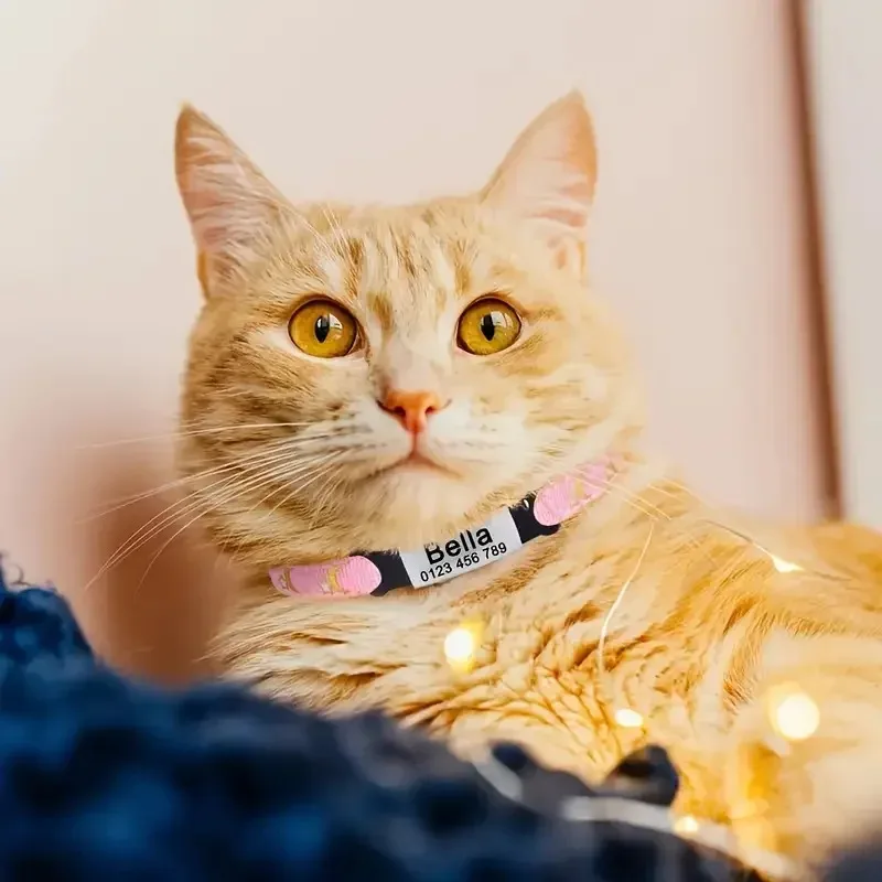 Collar de gato con estampado de luna y estrella, nombre de mascota grabado personalizado y número de teléfono, etiqueta de identificación de gato con lazo, adecuado para gatos domésticos - imagen 4