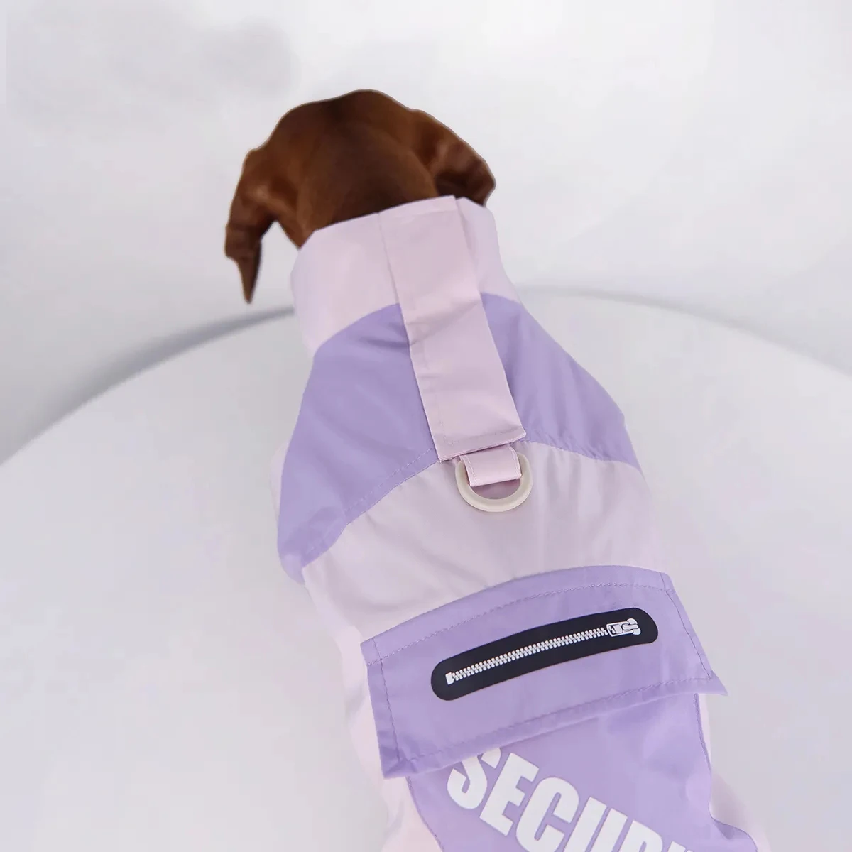 Impermeable cortavientos para perros salchicha pequeños y medianos - imagen 4