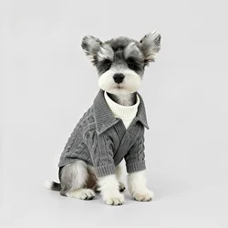 Jersey de punto para perros – Cálido estilo caballero