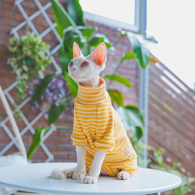 Ropa de invierno para gato, abrigo de algodón pelado de 4 patas para Sphnx, camiseta interior de manga larga para gatitos, mono Devon Rex - imagen 4