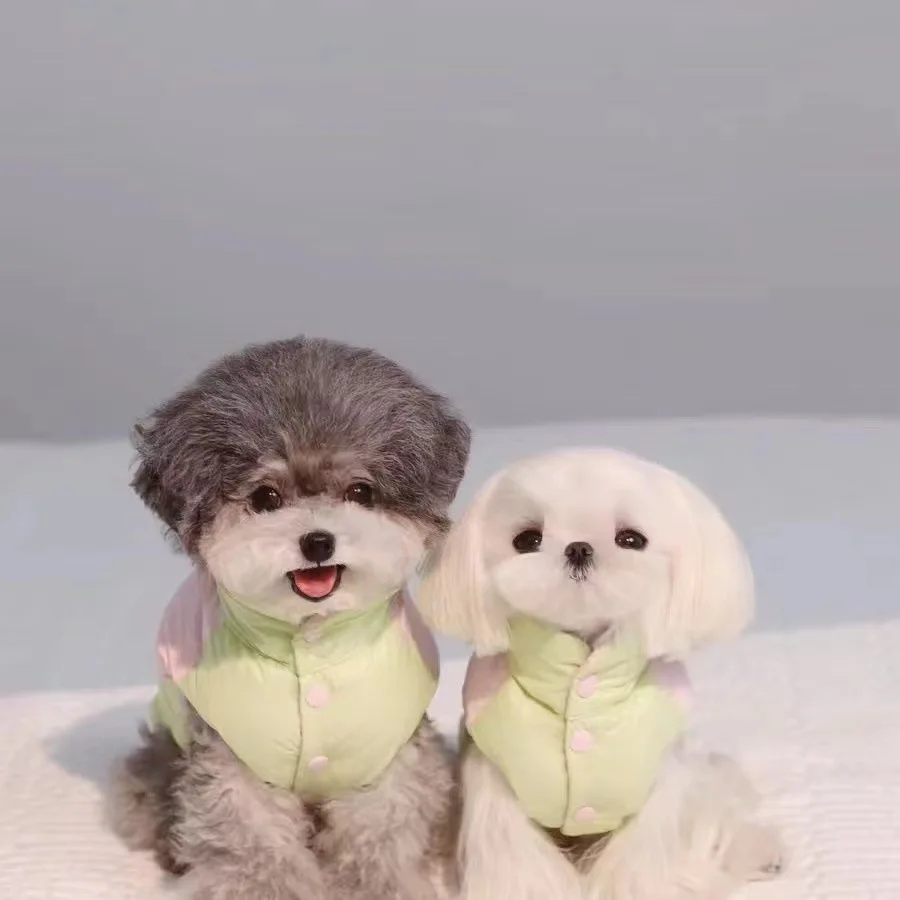 Abrigo de retales de Color helado de cuello alto para otoño e invierno para mascotas, abrigo grueso de invierno contrastante de peluche, ropa de otoño e invierno para gatos pequeños - imagen 3