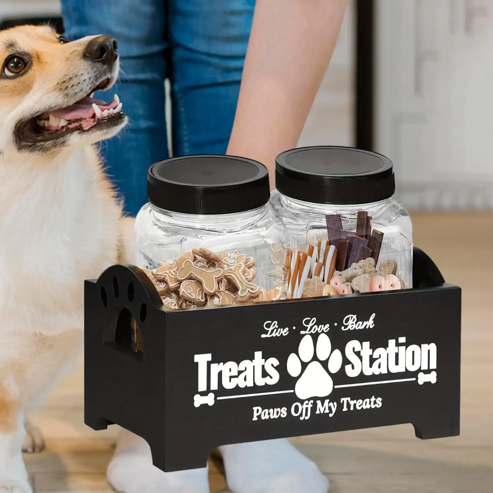 Pet Treat Holder with Jars for Kitchen Counter Modern Dog Food Treat Jar Set