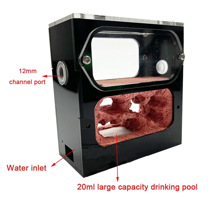 Paredes transparentes de granja de hormigas de hormigón, nido de hormigas de fácil observación, taller de antill para mascotas, casa de hormigas de insectos con torre de agua, área de caza - imagen 4