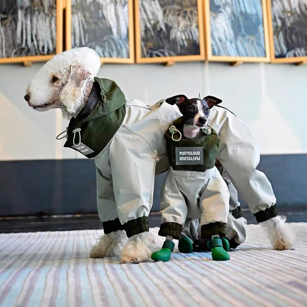 Chaqueta impermeable para perros Italian Greyhound y Bedlington - imagen 3