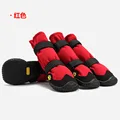 Red and black toes