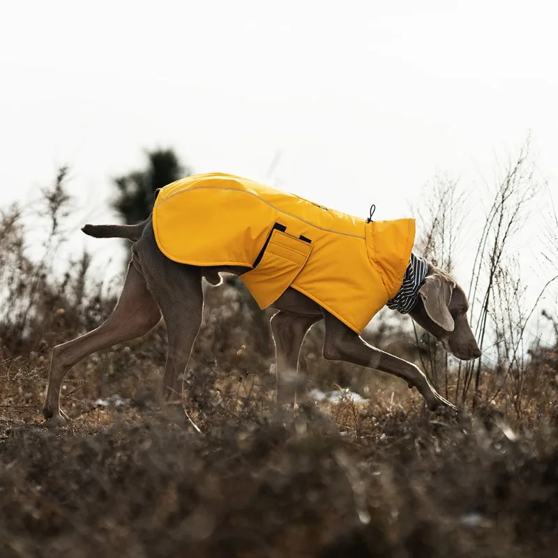 Abrigo impermeable para perros grandes – Reflectante y cortavientos - imagen 2