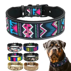 Collar LED reflectante para perro – Visibilidad segura passeos