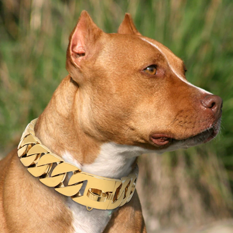 Collar eslabones acero inoxidable para perros grandes Pitbull Bulldog - imagen 2