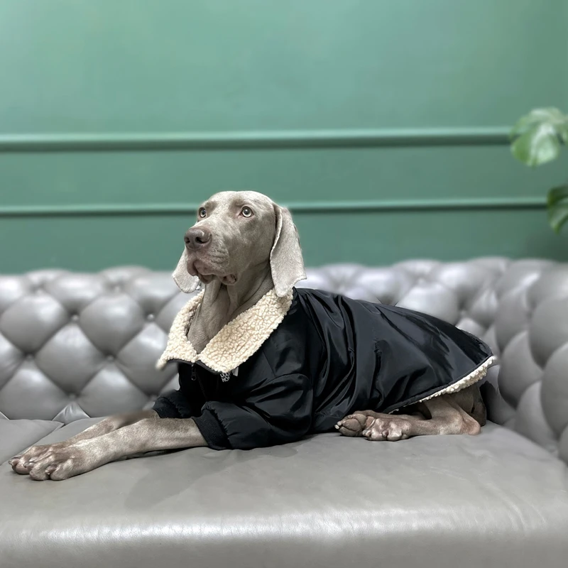Ropa impermeable para perros grandes, chaqueta cálida de lujo para perros grandes con cremallera, ropa Labrador Golden Retriever Dobermann - imagen 3