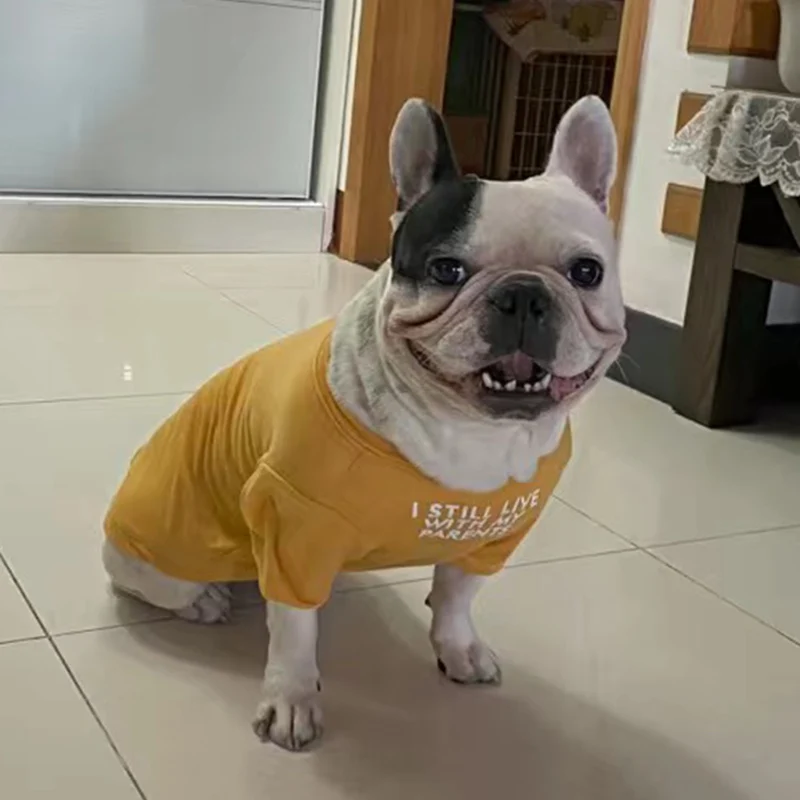 Moda Bulldog Francés Pug chaleco camisa verano ropa para perros pequeños Corgi Shiba Inu caniche mascotas ropa gato camiseta - imagen 5