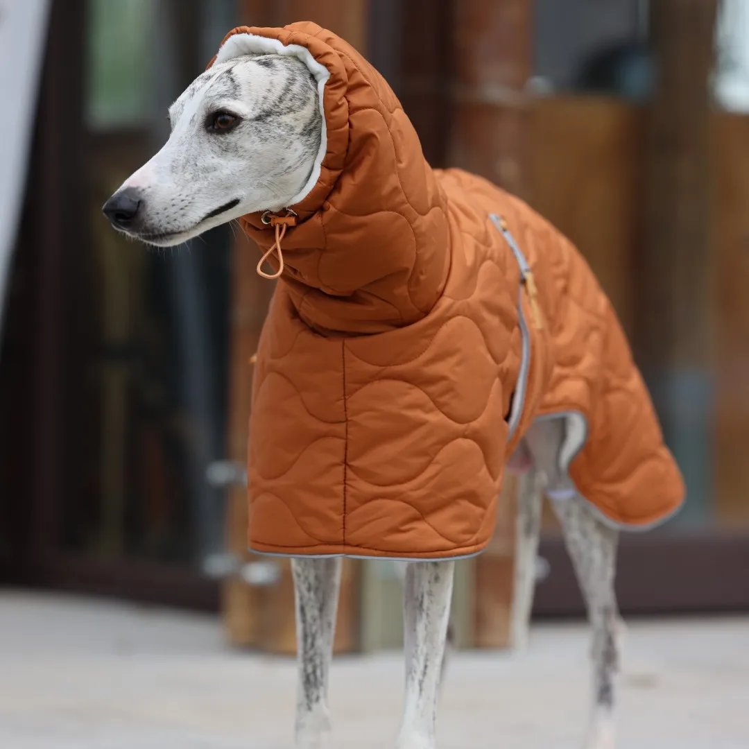 Capa de algodón grueso de invierno para perro medio, elegante abrigo cálido con cintura ajustable para galgos italianos, chaqueta impermeable para Whippet - imagen 4