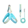 Light Blue Set