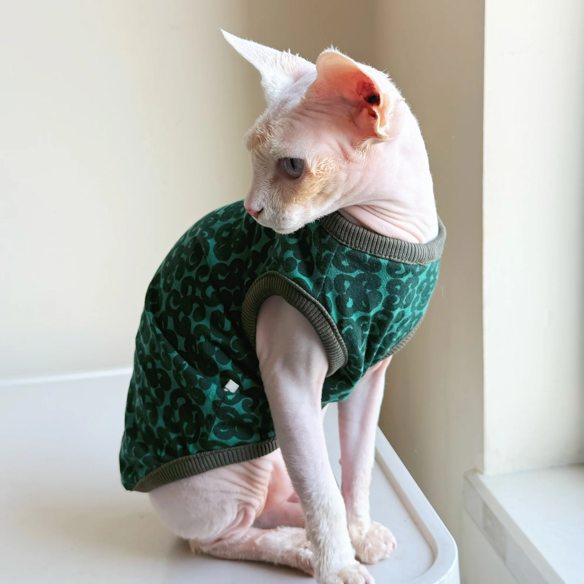 Chaleco verde de algodón para gatos leopardo Devon Rex y Sphynx - imagen 5