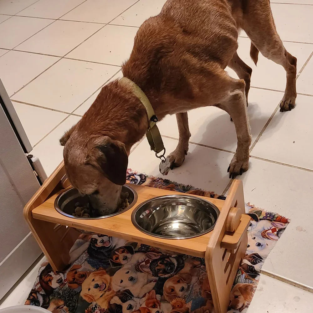 Comedero elevado de madera para perros y gatos con 2 tazones de acero inoxidable, soporte de cuenco elevado con inclinación ajustable para postura de comida saludable para mascotas - imagen 5