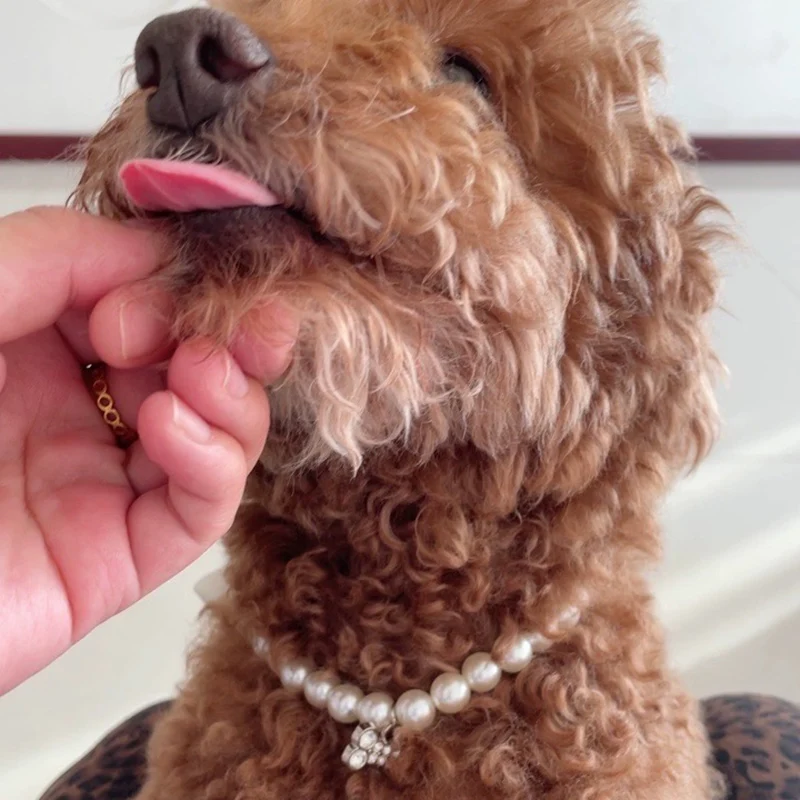 Collar con diamantes de imitación ostentosos para cachorros y perros, colgante de perlas de lujo, collares para mascotas para perros pequeños, accesorios para mascotas maltés - imagen 3