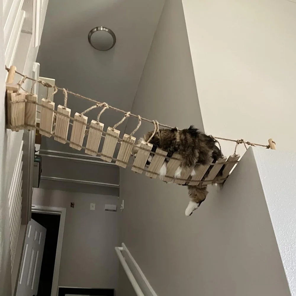 Puente para gatos montado en la pared de madera maciza, puente colgante para juegos de gatos con cuerda, accesorios interactivos para gatos de interior para gatitos y gatos adultos - imagen 5