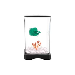 Pecera escritorio iluminada para Betta – Acuario pequeño decorativo
