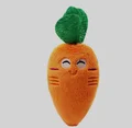 Carrot