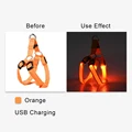 Orange USB Charging