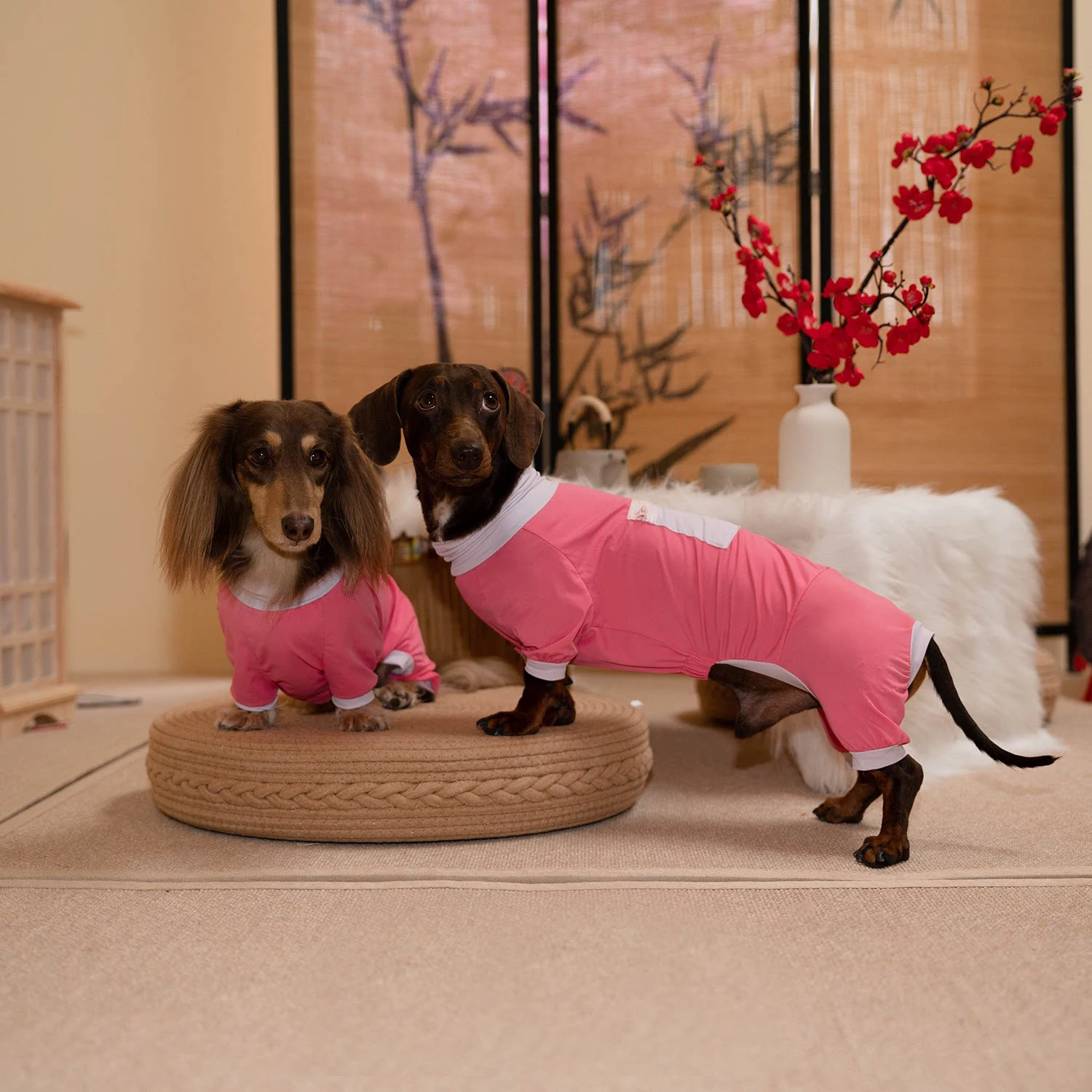 Camiseta veraniega perro salchicha: secado rápido y protección solar