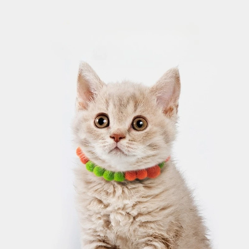 Collar pajarita con flor de arcoíris para perros y gatos - imagen 2