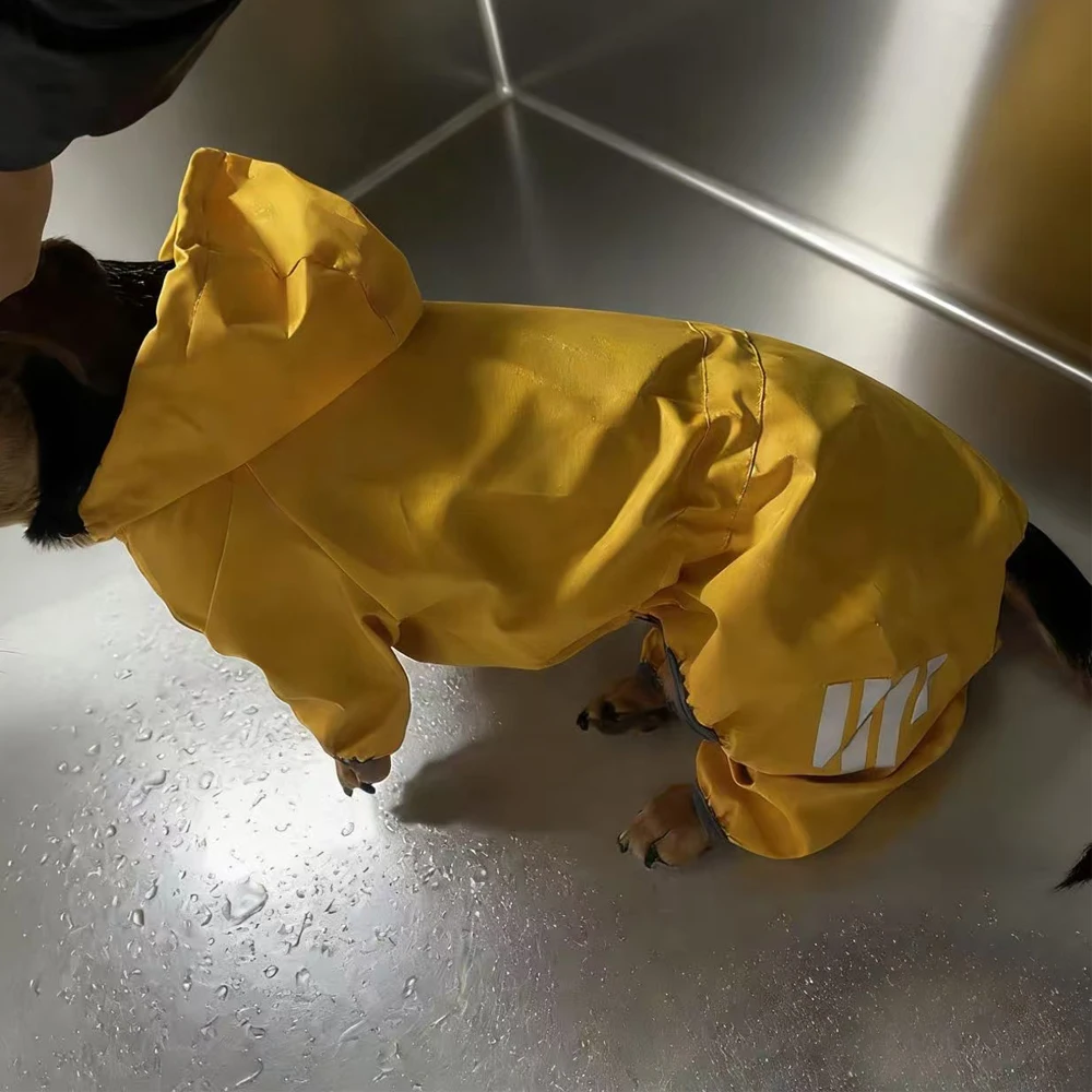 Impermeable amarillo para Dachshund y perros pequeños con reflectante - imagen 3