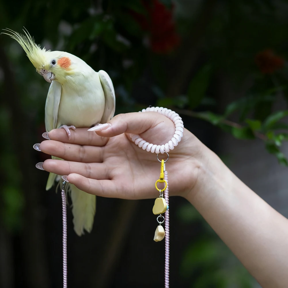 Cuerda de vuelo entrenamiento para loros periquitos cacatúas - imagen 3