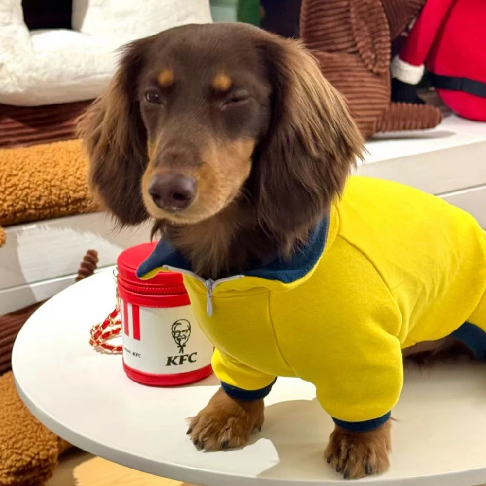 Suéter de lana amarillo cálido para perros salchicha, sudadera de cuello alto de 4 patas para insignias de perros, abrigo de invierno a prueba de viento para perros Wiener - imagen 3