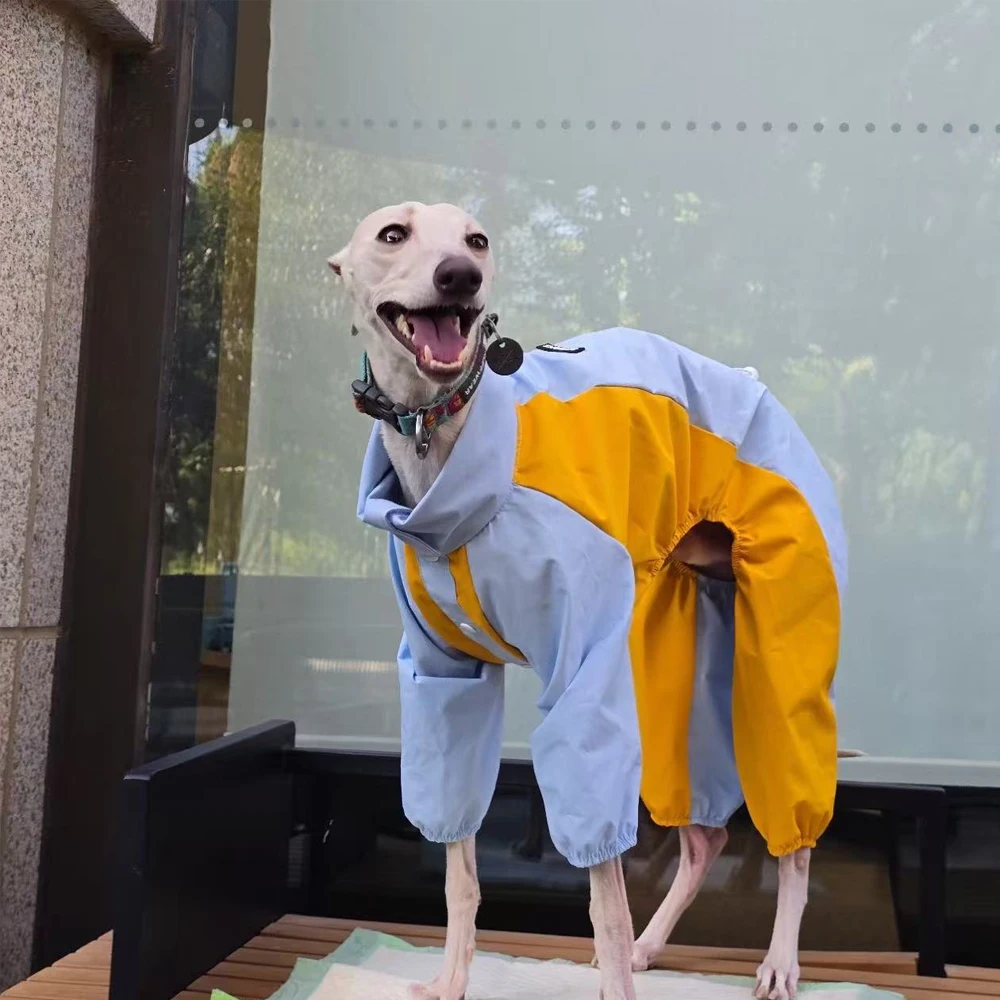 Chaqueta cortavientos azul-amarilla para galgo italiano, abrigo de 4 patas, sudadera suave para perros pequeños y medianos Whipbit - imagen 2