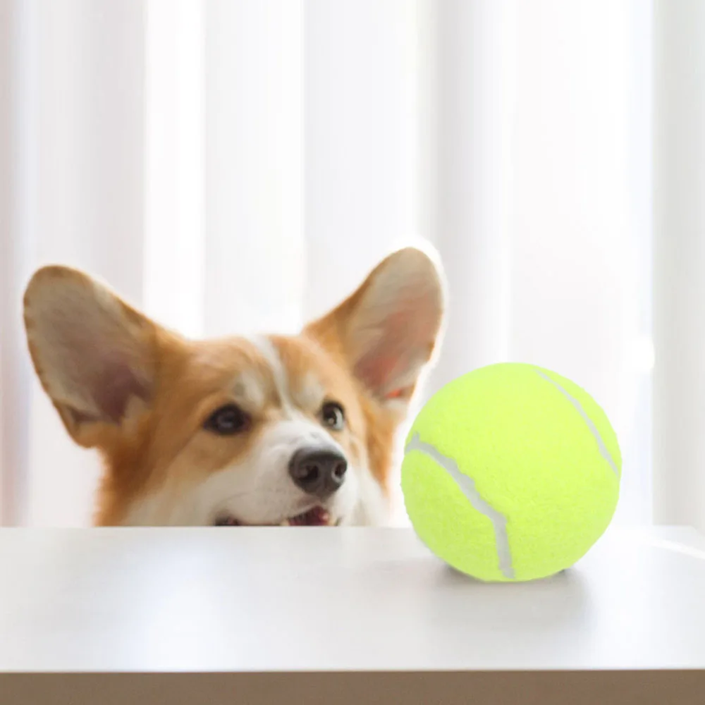 Pelota de tenis elástica de juguete para perros, juguete de goma resistente a masticar para mascotas para entrenar, juguete duradero para masticar cachorros, - imagen 3