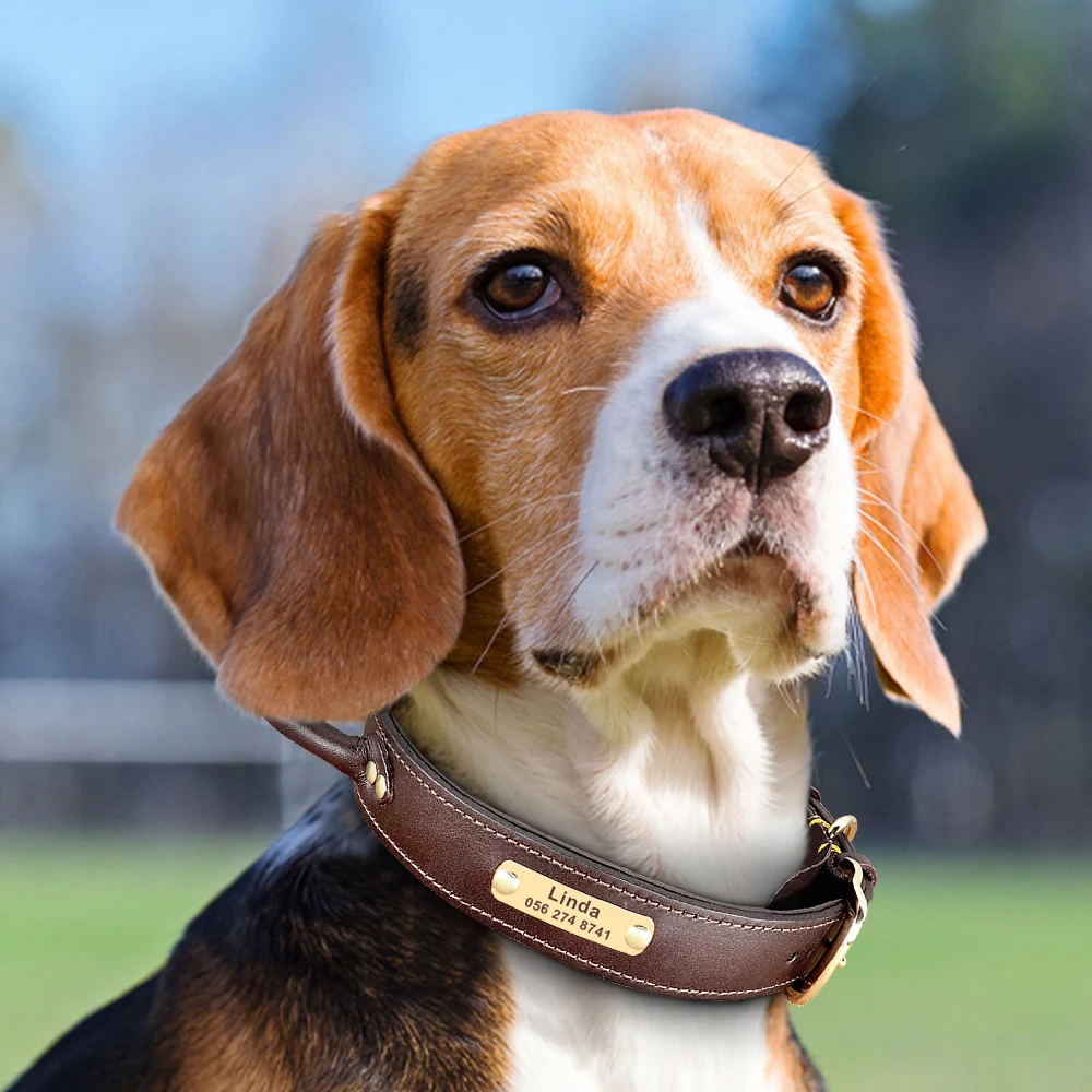 Collar de perro de cuero PU personalizado, collares con etiqueta de identificación de perro grabada gratis, Collar de Control rápido para entrenamiento de mascotas con mango para perros - imagen 5