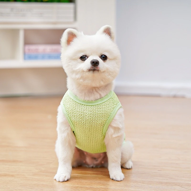 Ropa calada de dibujos animados para perros pequeños y medianos, chaleco de verano con protección UV para gatitos, transpirable, para ocio, Chihuahua, York, ropa para mascotas - imagen 5
