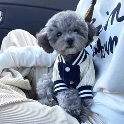 Chaqueta vaquero para Chihuahua y perros pequeños