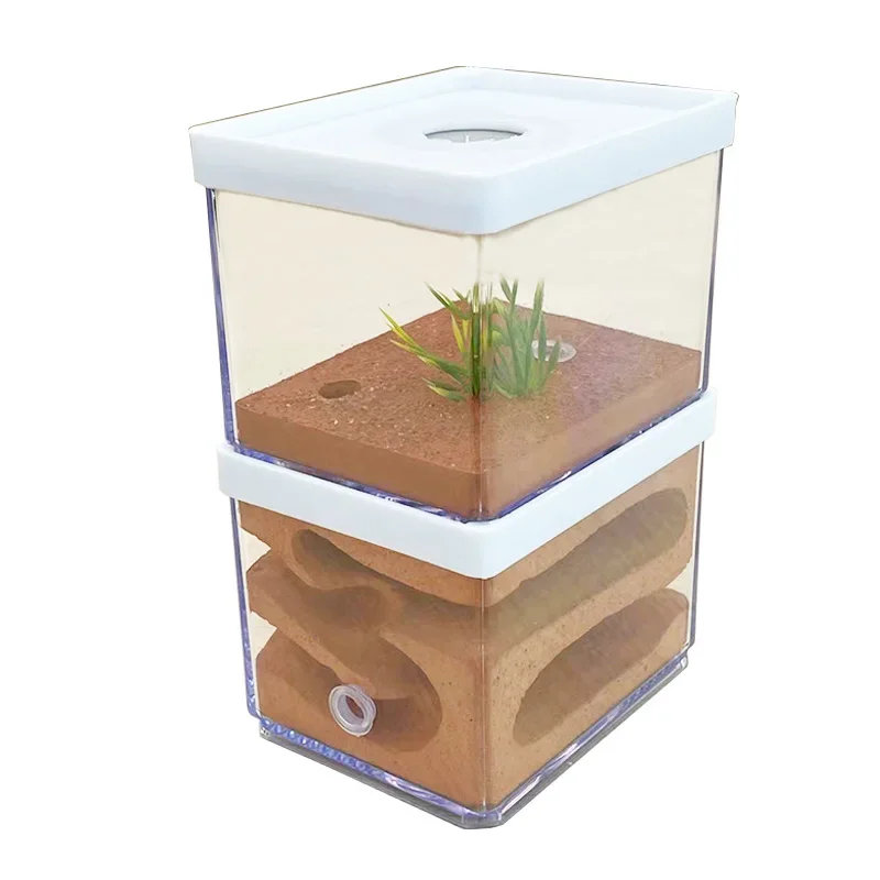 Granja de hormigas de yeso de alta humedad, Castillo de insectos para Hotel, nido de hormigas ecológico, taller de hormiguero para mascotas, casa de hormigas, pueblo con área de alimentación - imagen 3