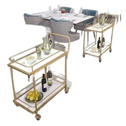 Carrito dorado nórdico de lujo para gatos y perros – Transporte móvil