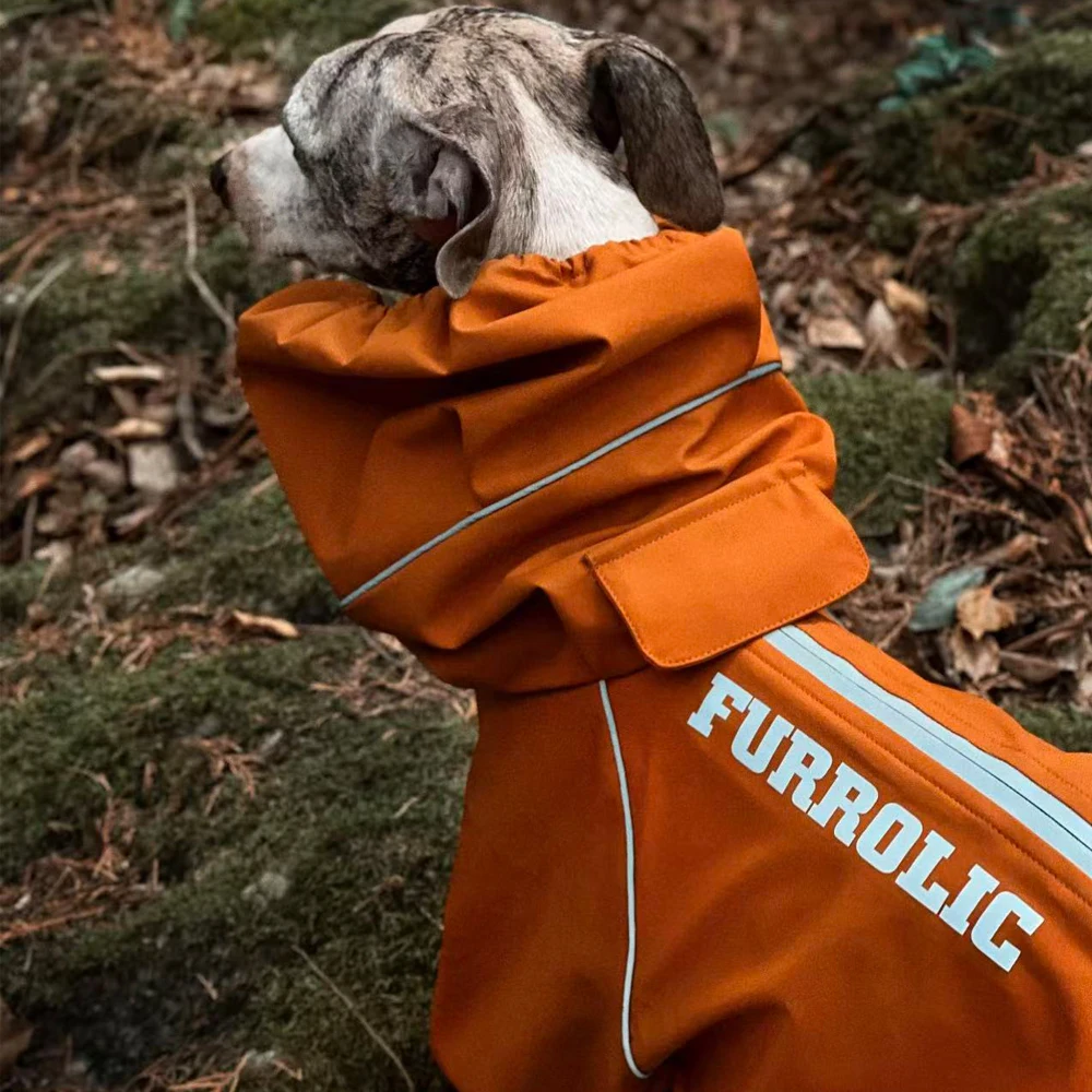 Chaqueta impermeable para perros naranja: Whippet y galgo italiano - imagen 4